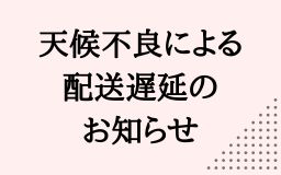 天候不良の影響による一部地域配送遅延について